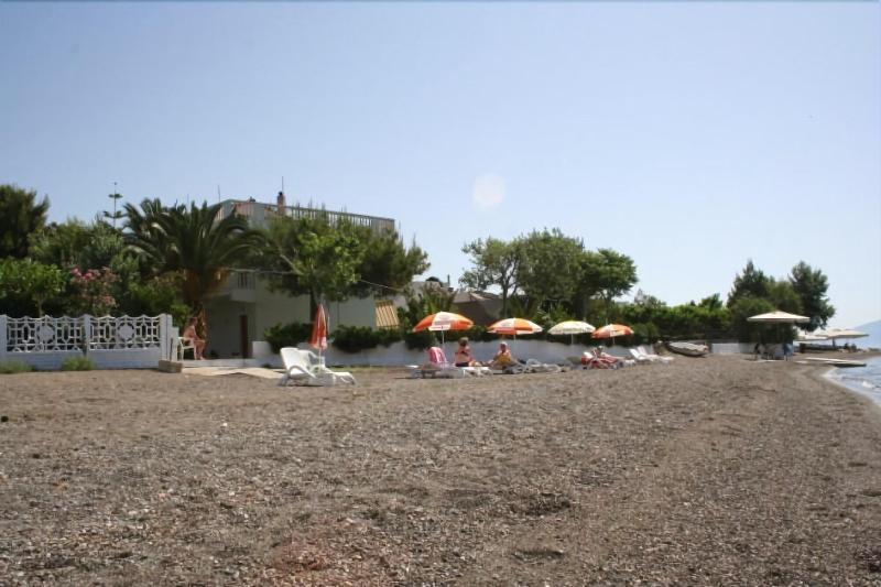Posidonia Pension Amarynthos Exteriör bild