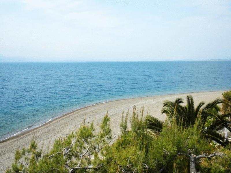 Posidonia Pension Amarynthos Exteriör bild