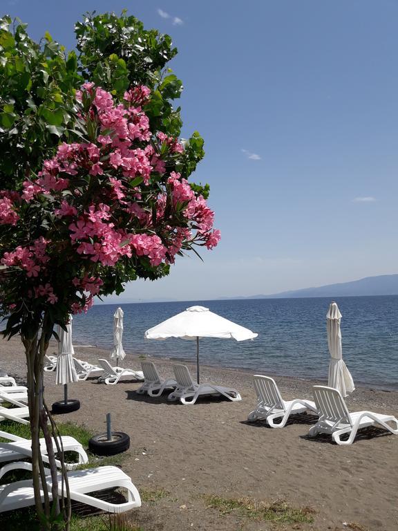 Posidonia Pension Amarynthos Exteriör bild